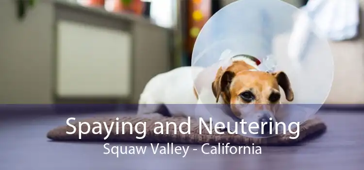 Spaying and Neutering Squaw Valley - California