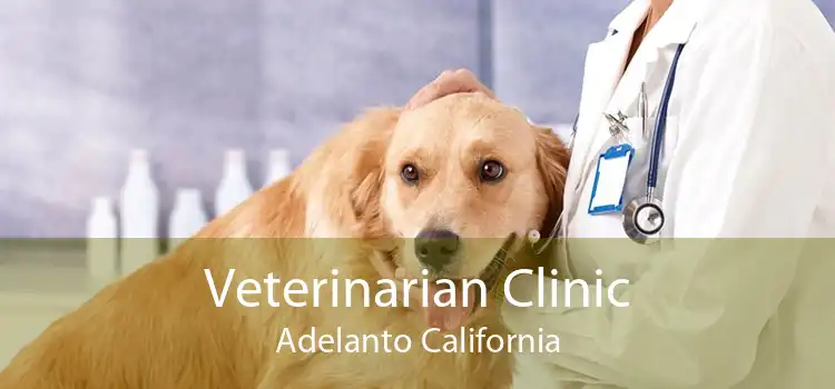 Veterinarian Clinic Adelanto California