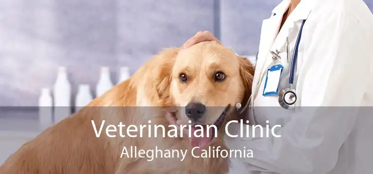 Veterinarian Clinic Alleghany California