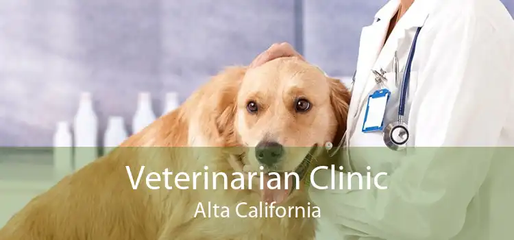 Veterinarian Clinic Alta California