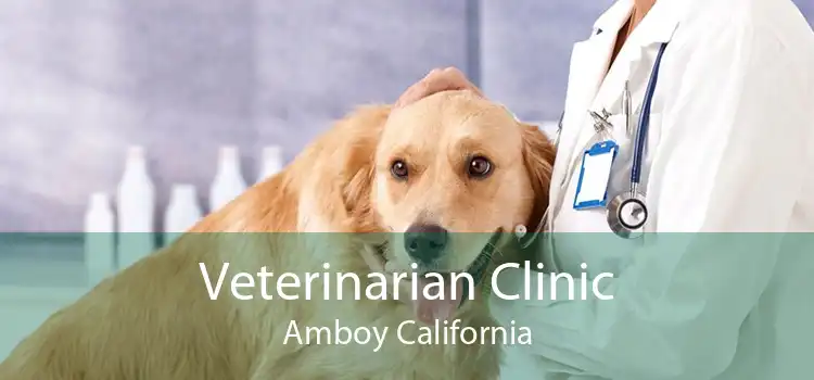 Veterinarian Clinic Amboy California