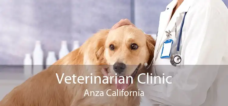 Veterinarian Clinic Anza California