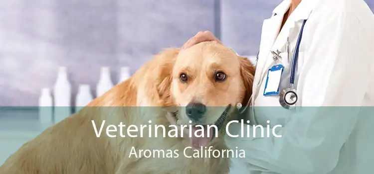 Veterinarian Clinic Aromas California