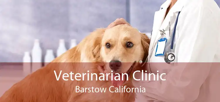 Veterinarian Clinic Barstow California