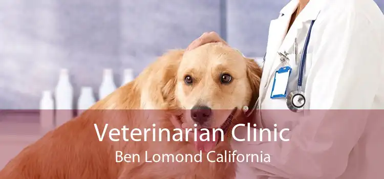 Veterinarian Clinic Ben Lomond California