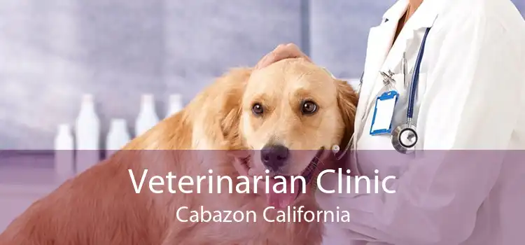 Veterinarian Clinic Cabazon California
