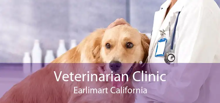 Veterinarian Clinic Earlimart California