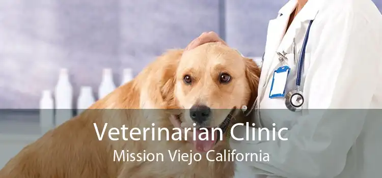 Veterinarian Clinic Mission Viejo California