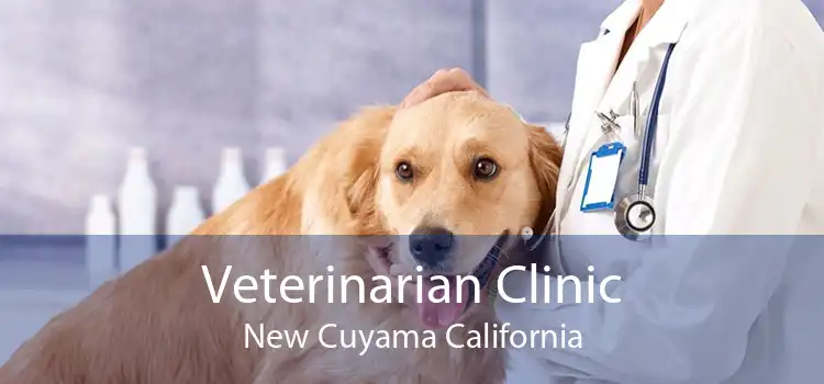 Veterinarian Clinic New Cuyama California