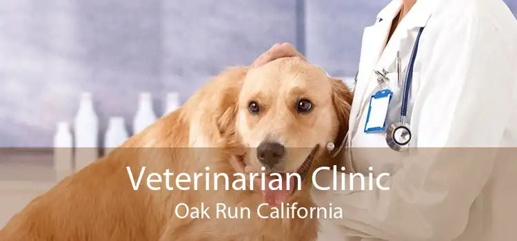 Veterinarian Clinic Oak Run California