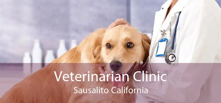 Veterinarian Clinic Sausalito California