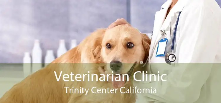 Veterinarian Clinic Trinity Center California