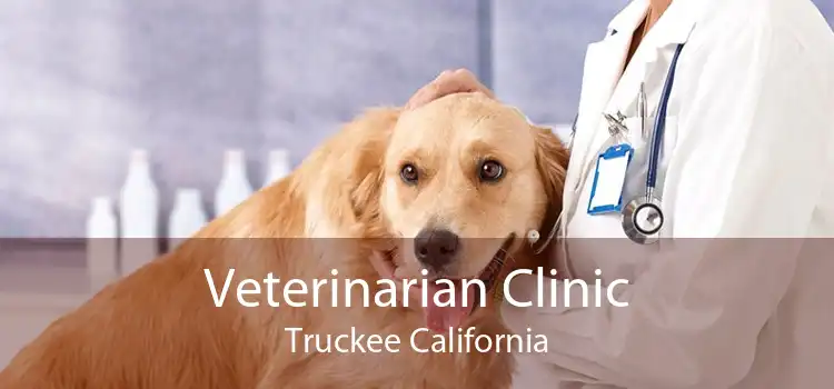 Veterinarian Clinic Truckee California