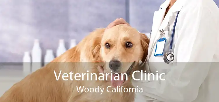 Veterinarian Clinic Woody California