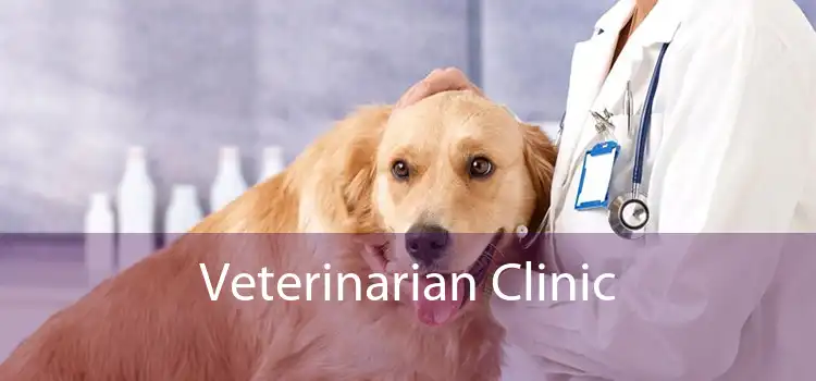 Veterinarian Clinic  