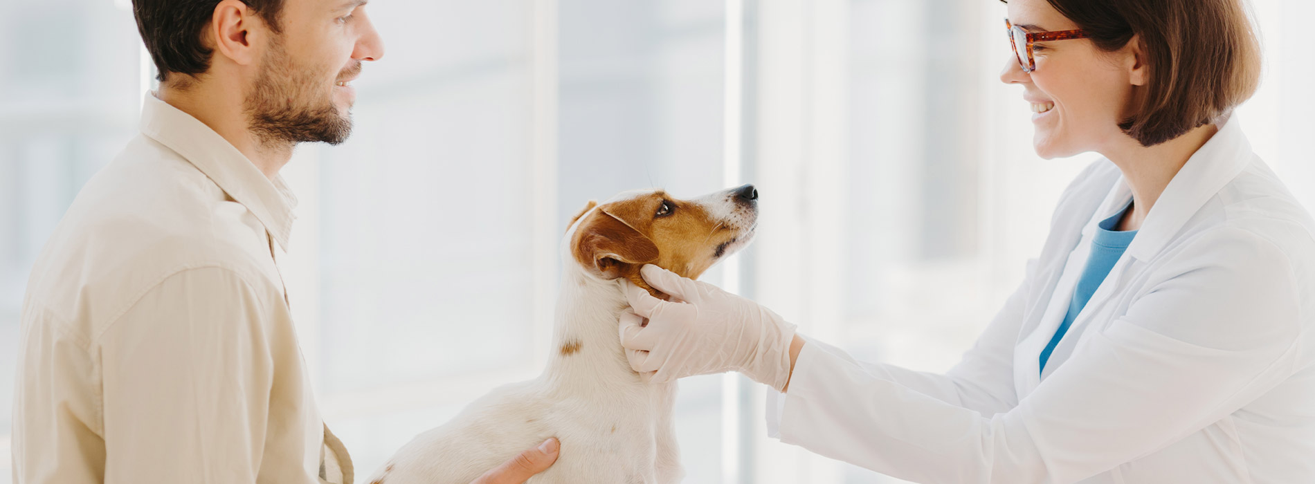 Service Areas Vet Pet Rescue