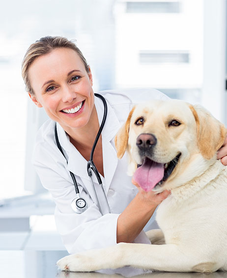 Best Veterinarian Clinic